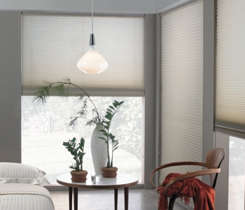 cellular shades in Dallas house